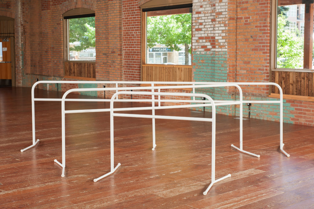 4 Ft Portable Ballet Barre for Home Dancing Training Studio Detachable,  Silver