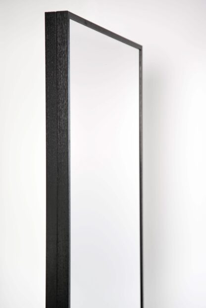 Glassless Mirror on Rolling Stand - Image 5